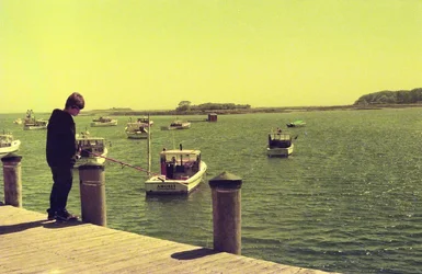 $Fishing yellow filter.webp