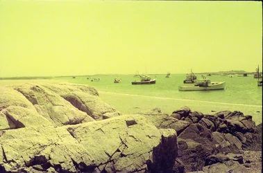 $Rocks and boats yellow.webp