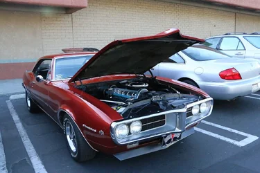 $IMG_0550 resize.webp