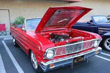 $IMG_0551 resize.webp