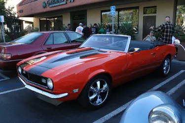 $IMG_0553 resize.webp