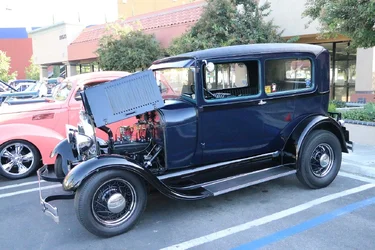 $IMG_0557 resize.webp