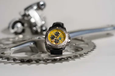 $Festina01.webp