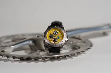 $Festina02.webp