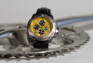 $Festina03.webp