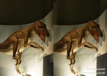 $_1050765.webp