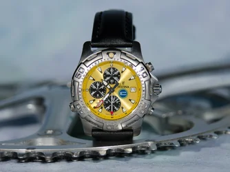 $Festina05.webp