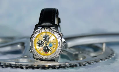$Festina07-1020.webp