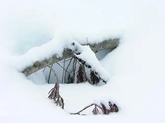 $SnowAbstractb.webp