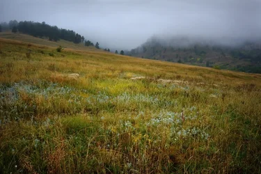 $00IMG_0798 1000p.webp