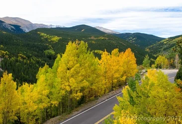 $falldrivecrop.webp