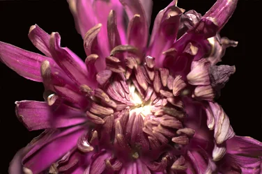 $stacked test 3.webp