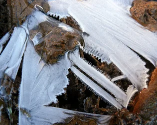 $IceFractal05.webp