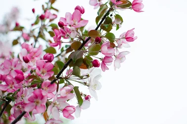 $크기변환_DSC_0800.webp