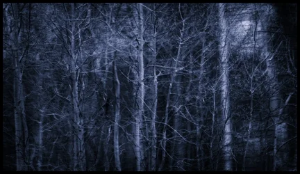 $pixelrabbit-lightoifthemoon.webp $pixelrabbit-lightoifthemoon.webp