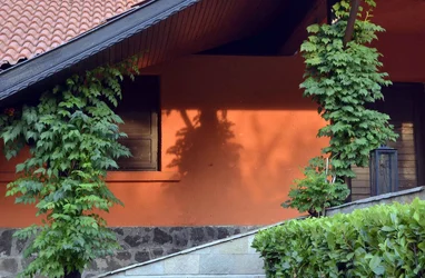$Orange wall 2 web .webp