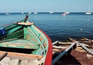 $Red Boat web.webp