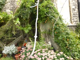 $P1000710.webp