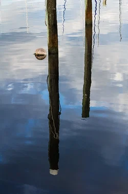 $10117318683_d3cca1e257_o.webp