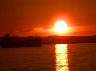 $bird - sunset 30 sept 2013 035.webp