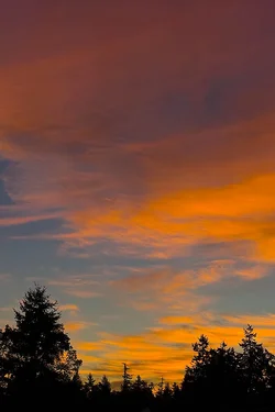 $10-05-13_0096.webp
