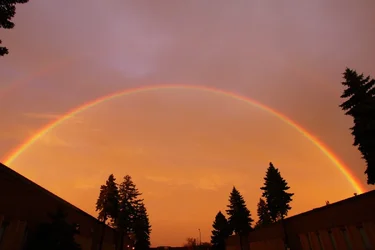 $S_Rainbow_131007_6098.webp $S_Rainbow_131007_6098.webp