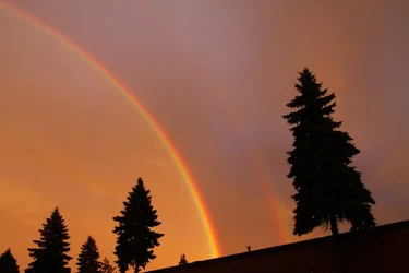 $S_Rainbow_131007_6099.webp $S_Rainbow_131007_6099.webp