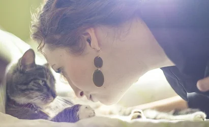 $Caturday2.webp $Caturday2.webp