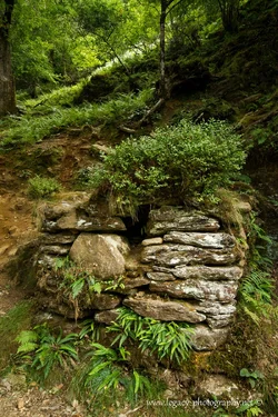 $Ancient rock wall in the Glendalough forest.webp $Ancient rock wall in the Glendalough forest.webp