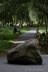 $Couple sitting on a bench in the Glendalough Forest.jpg