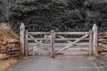 $Gate - BW  - selective color.webp