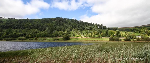 $Irish countryside - panorama.webp