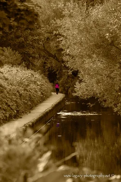 $Walking by an Irish stream.webp