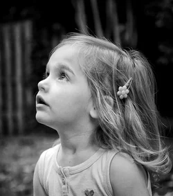 $niece.webp