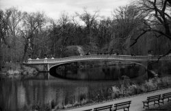 $Bridge in Central Park.jpg