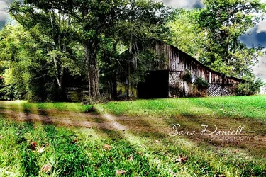 $photog 001 sd_WM.webp