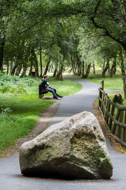 $Couple sitting on a bench in the Glendalough Forest - 2.webp