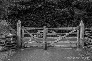 $Gate in the Irish countryside - BW.webp