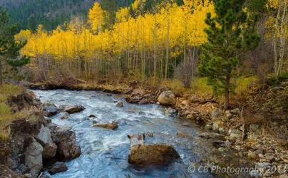 $fallstreamcrop.webp
