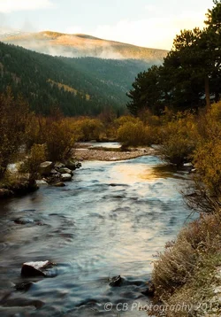 $streamcrop.webp
