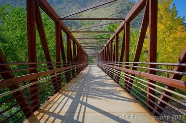 $walkwaycolorcrop.webp