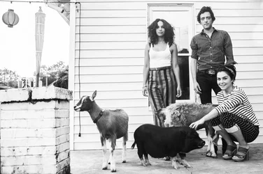 $_DSC6457.webp