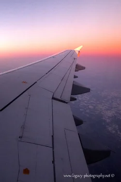 $Wing at sunset - portrait - rule of 3rds.webp