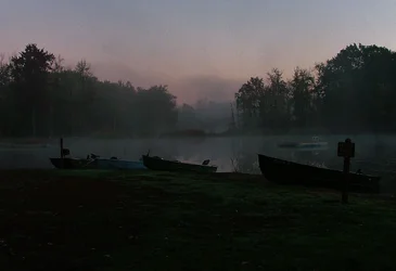 $morning boats 2.webp