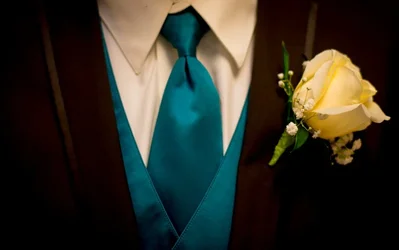 $thesuit3.webp