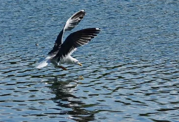 $thumb-1369507193226-dsc08354.webp