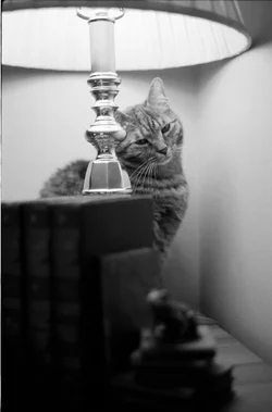 $Mrs Parker b&w.webp $Mrs Parker b&w.webp