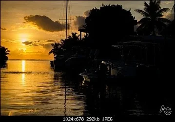 $9884169136_7027bf7158_b.webp