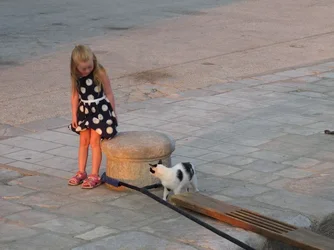 $Girl and cat 3.webp