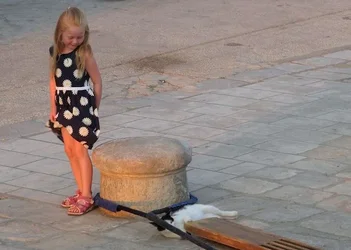 $Girl and cat 2 crop.webp $Girl and cat 2 crop.webp